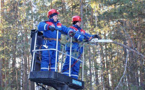 Челябинские горэлектросети начали плановую подрезку деревьев - «челябинская область»